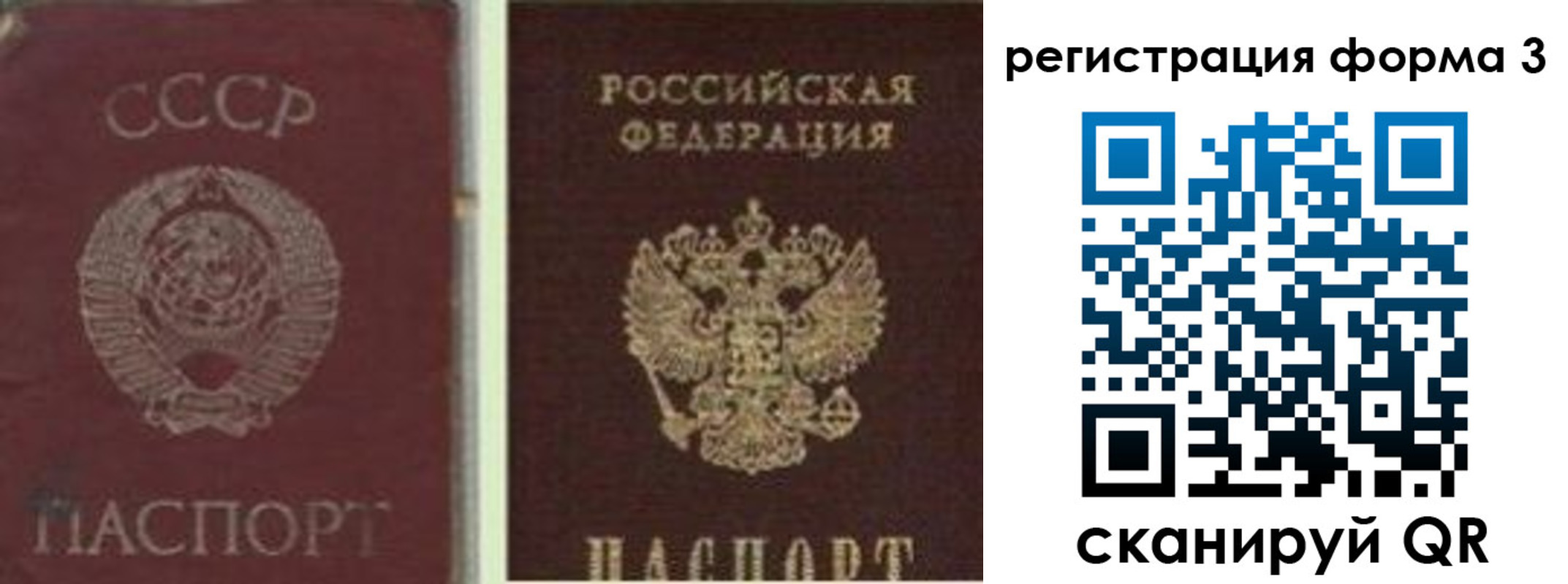прописка для школы в Новом Осколе